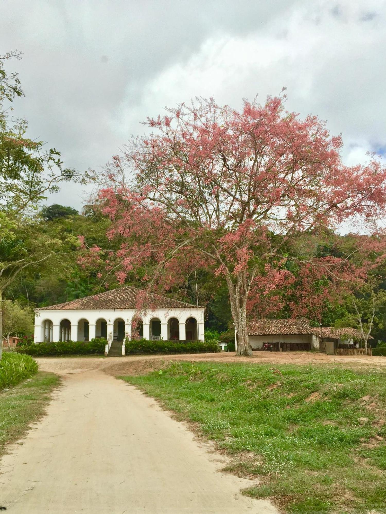 Chale Suico - Chales Belo Monte - Sitio Belo Monte Pacoti Exterior foto