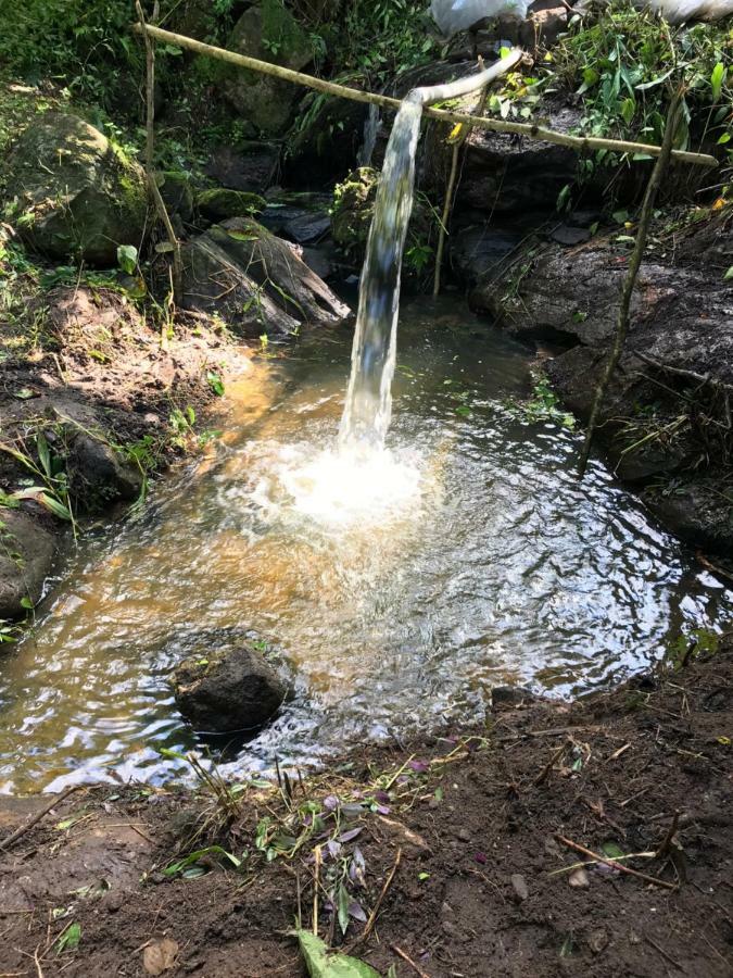 Chale Suico - Chales Belo Monte - Sitio Belo Monte Pacoti Exterior foto